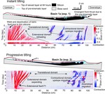 Progressive tilting of salt-bearing continental margins controls thin-skinned deformation